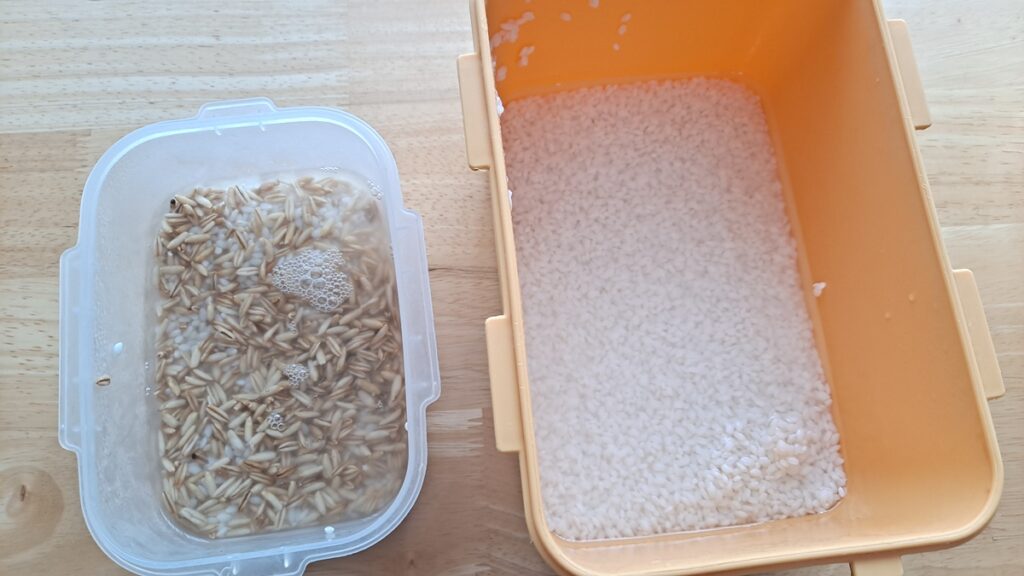 신장병 잡곡밥 귀리를 물에 불려 칼륨을 줄이는 과정