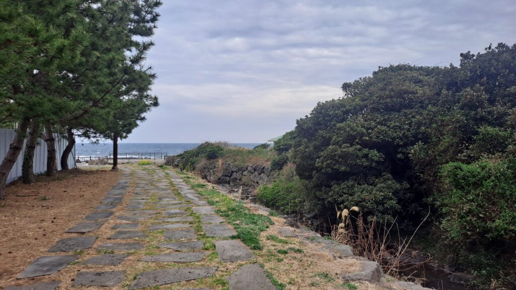 신장병에 좋은 운동 산책로 걷기 루트 자연 환경 유산소 운동 이미지