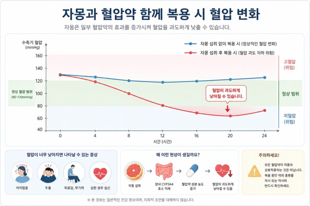 자몽 약물 상호작용 인포그래픽, 자몽 섭취 후 혈압약 복용 시 혈압 변화 그래프