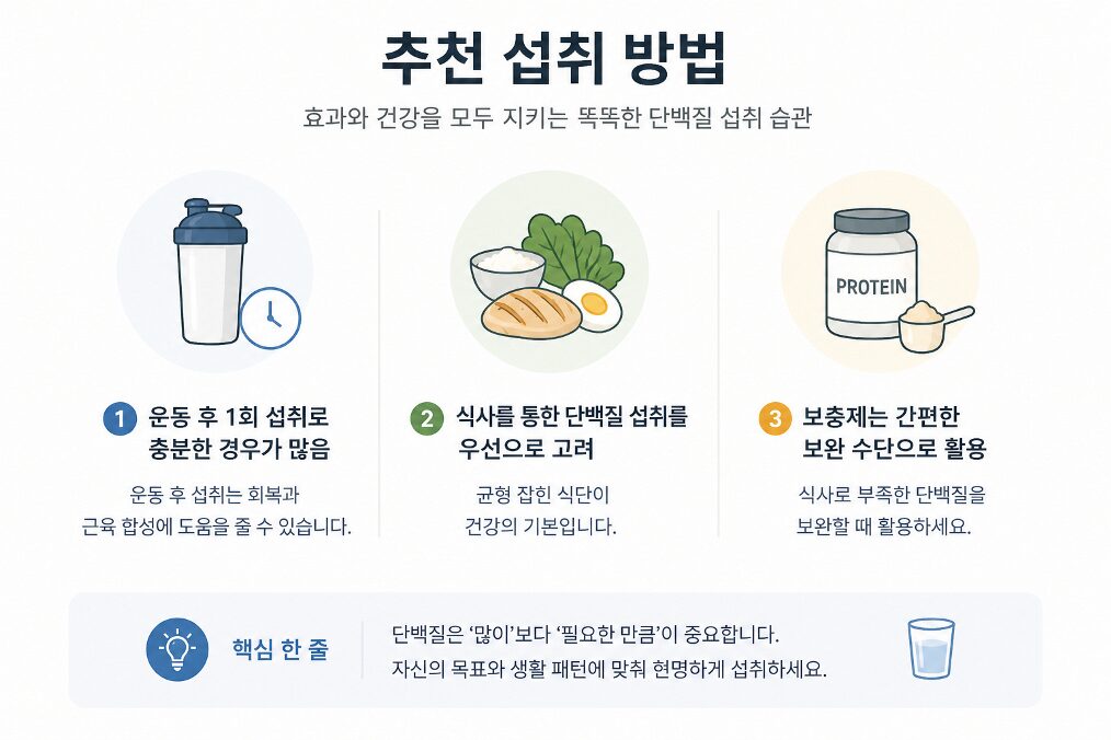 단백질 보충제 올바른 섭취 방법과 식사 우선 원칙을 설명한 인포그래픽