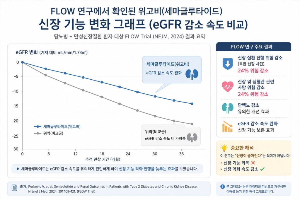 위고비 부작용과 신장 영향 FLOW 연구 결과를 기반으로 재구성한 eGFR 감소 비교 그래프