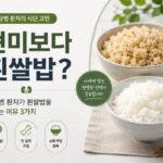 신장병 현미밥 보다 흰쌀밥을 권하는 3가지 이유