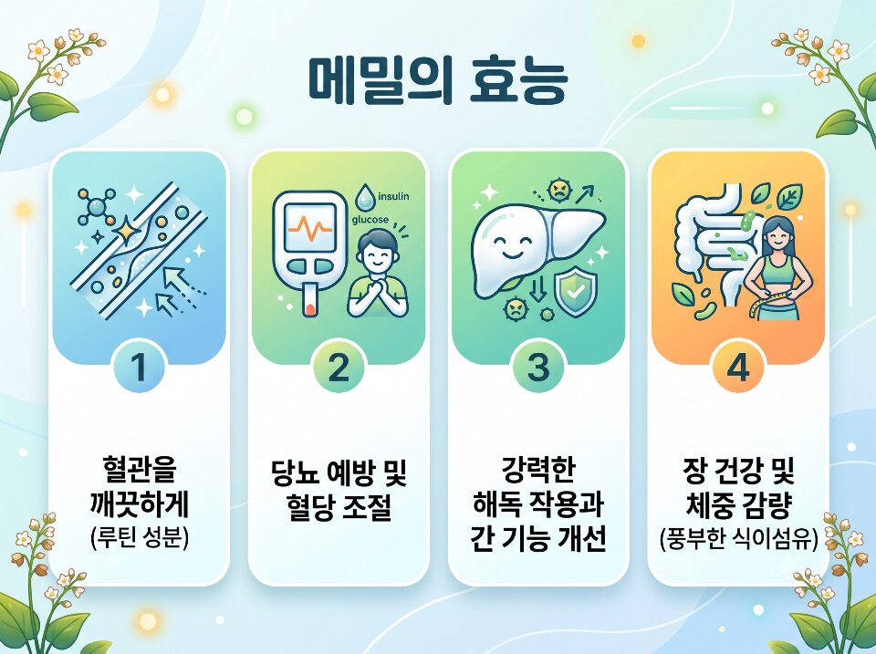 메밀의 4가지 대표 효능을 정리한 인포그래픽. 루틴 성분을 통한 혈관 건강, 낮은 GI 지수로 당뇨 예방 및 혈당 조절, 플라보노이드의 간 해독 작용, 풍부한 식이섬유로 장 건강 및 다이어트 도움 내용을 담고 있음.