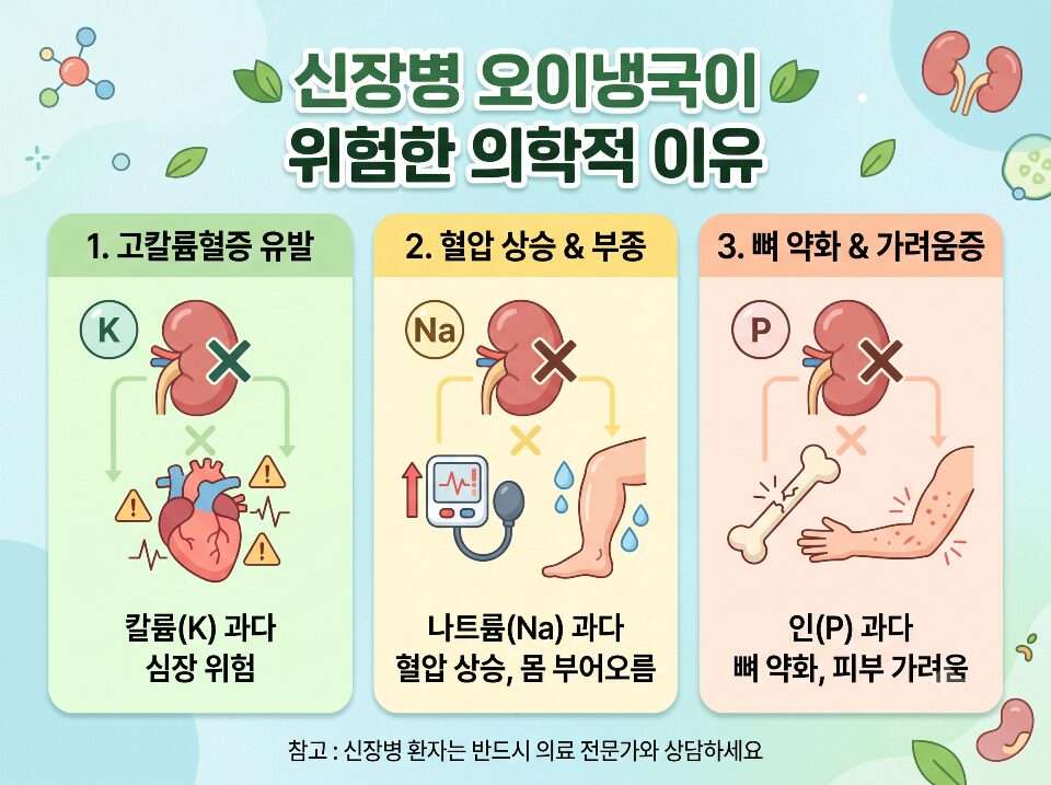 만성 신장병 오이냉국 섭취 시 고칼륨혈증과 나트륨 부종을 유발하는 의학적 이유 인포그래픽